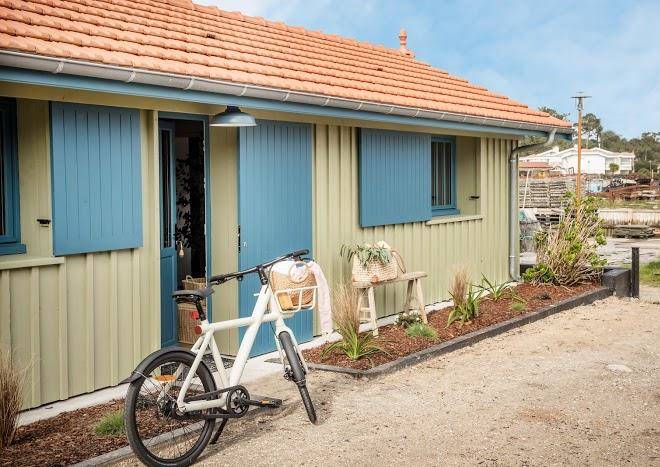Cabane yndo