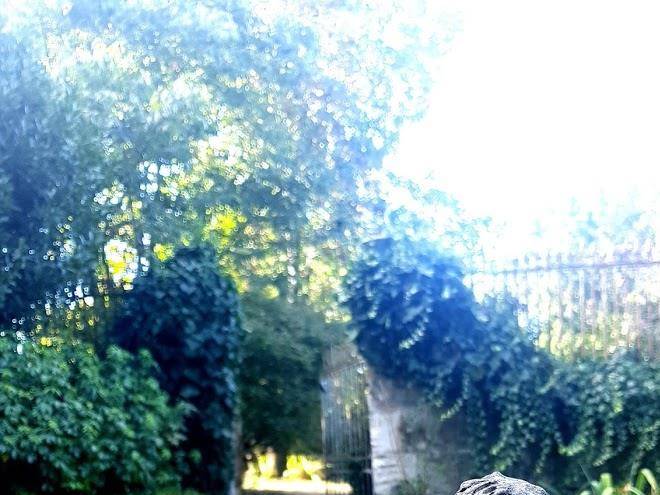 Chambre d'hotes clos d'iris
