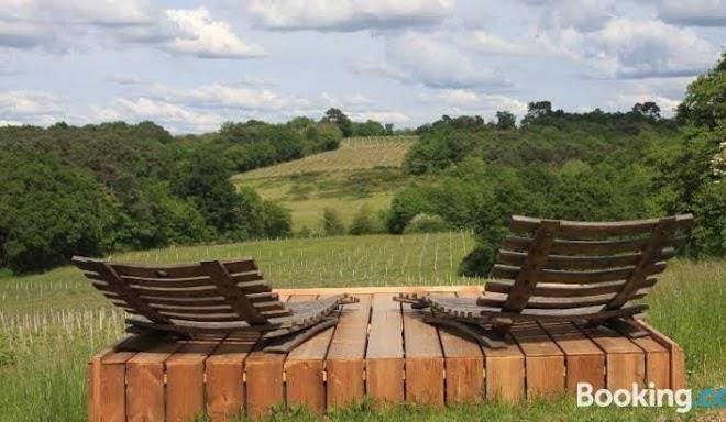 Chambres D'hotes La Merlotine Du Chateau De Croignon Image