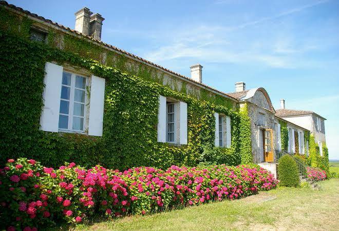 Chateau d'arche