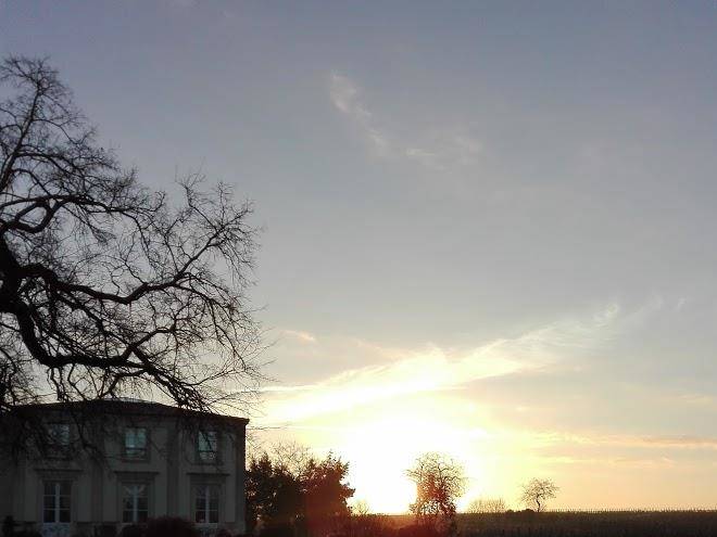 Chateau viaud