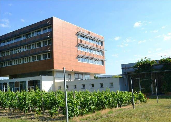 Hotel De Guyenne Image