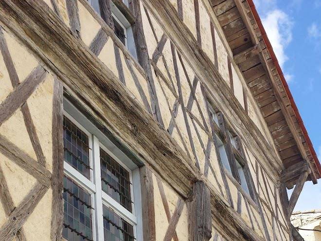 Le clos des palmiers