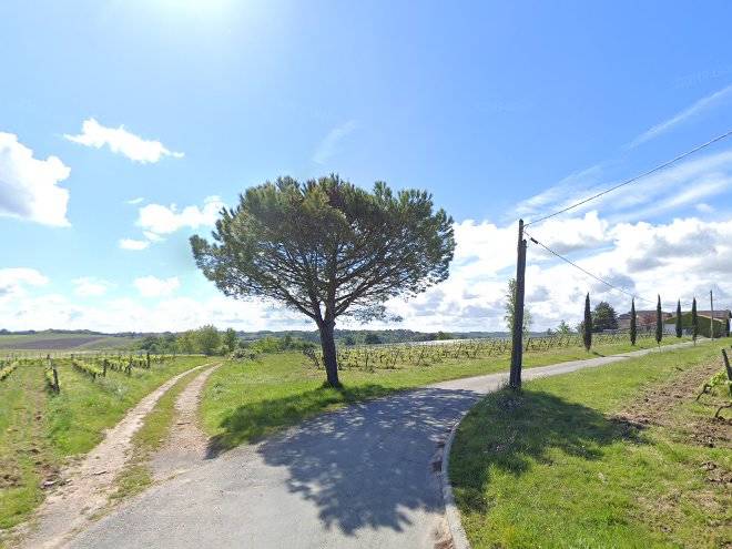 Vignobles lacoste