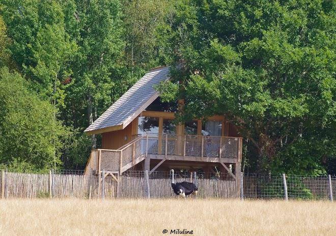 Les lodges du reynou