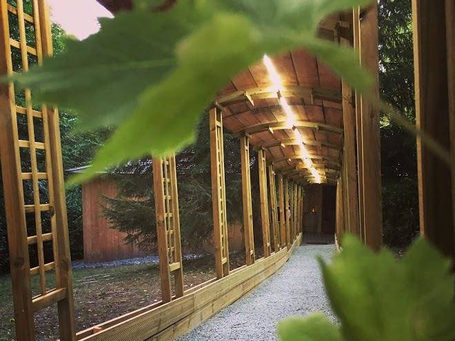 Wine spa