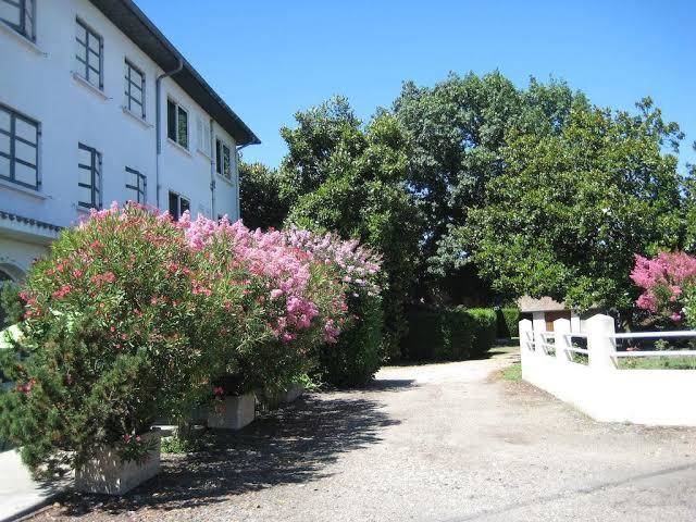 Hotel bellevue