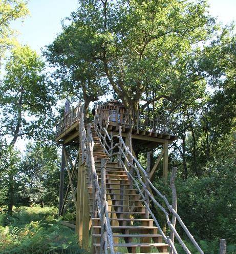 Landes cabanes sauvages