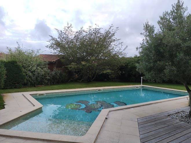 Le jardin de nemo