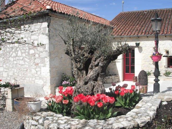 Chambre d'hotes le bosc