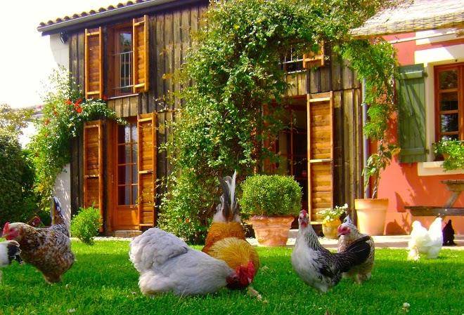 Domaine De Meroc Chambres D'hotes Galerie D'art Image