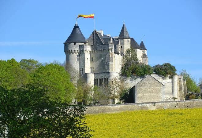 Chateau de la motte d'usseau