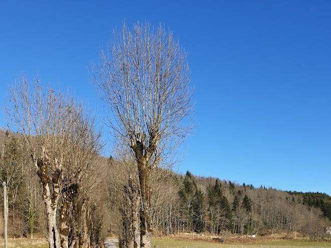 Oh Les Beaux Jours Image