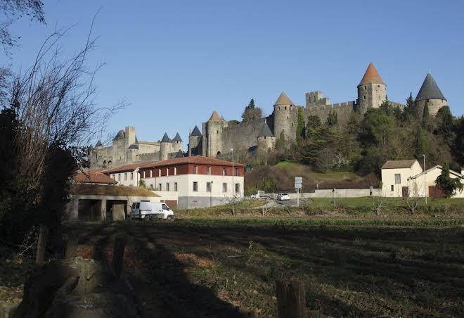 Adonis carcassonne residence la barbacane