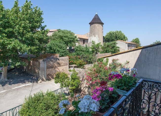 La belle minervoise