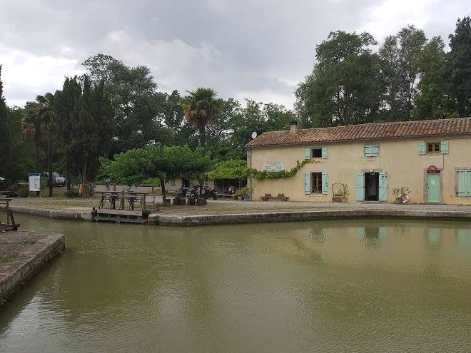 Les Coccinelles Du Soleil Image