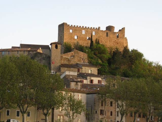Les hauts de la tortue
