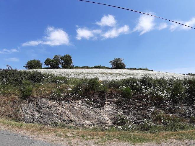 Plo De La Lauze Image