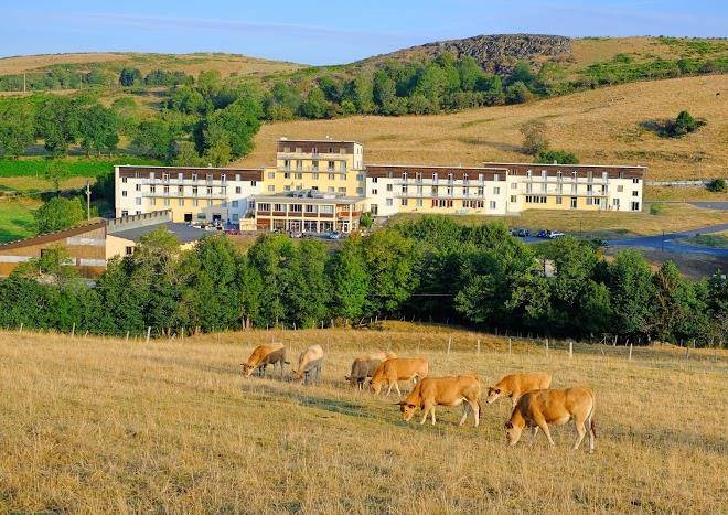 Fleurs d'aubrac de laguiole