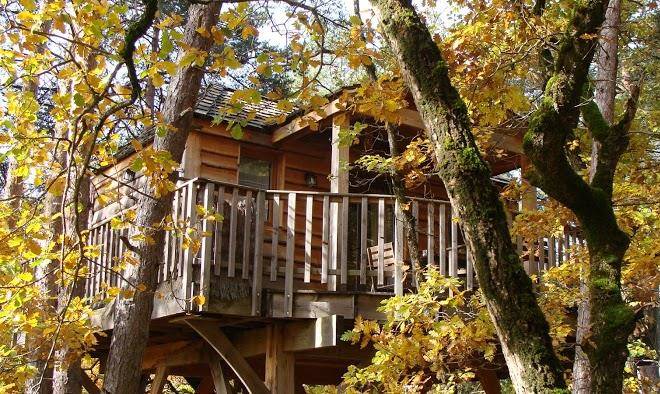 Gites cabanes perchees roulotte et spa la cachette