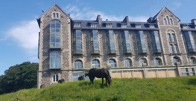 Royal aubrac