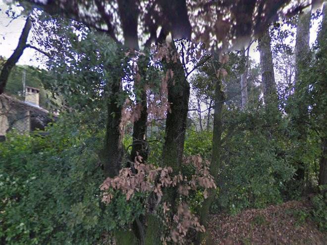 Au jardin de claire
