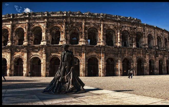 Hotel Brasserie Des Arenes Image