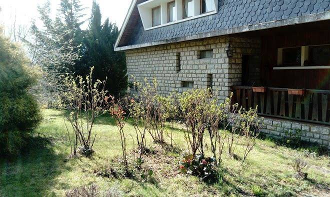 La fougeraie chambre d'hotes