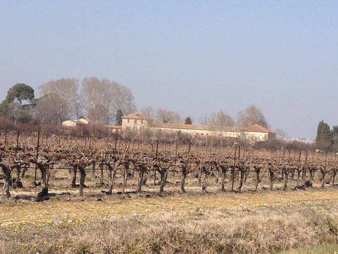 Le mas de saint remy