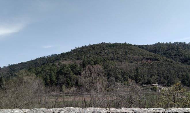 Le montsauve