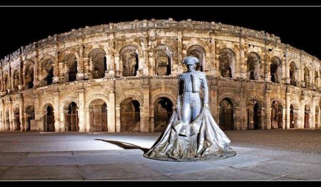 Le patio notre dame