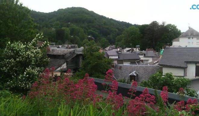 Au Chat Ronfleur Image