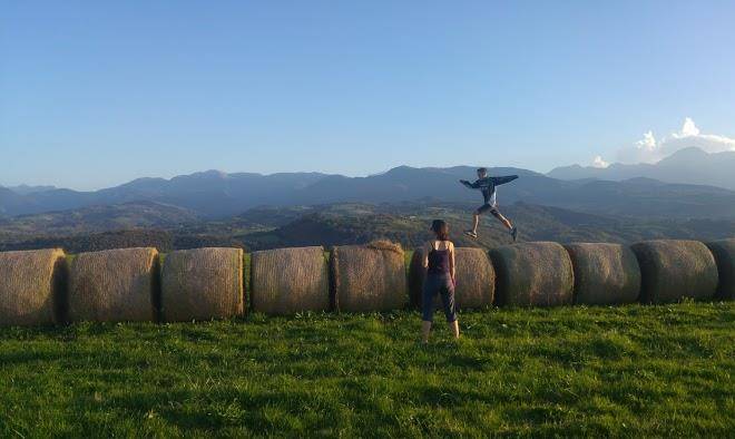Hi pyrenees
