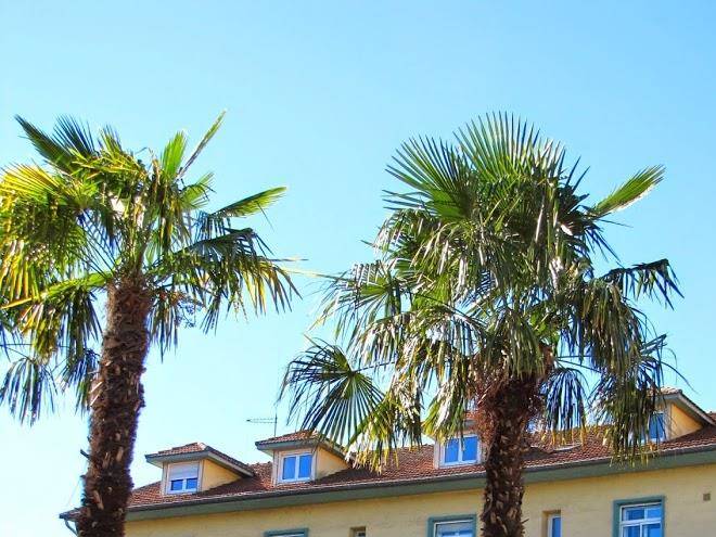 Hotel la croix blanche