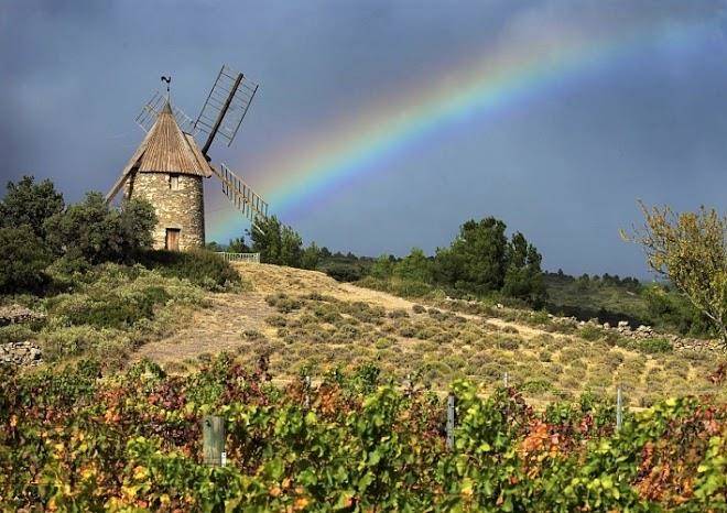 Au Paradis Des 2 Petites Abeilles Image