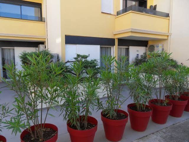 Brit Hotel Opal Image