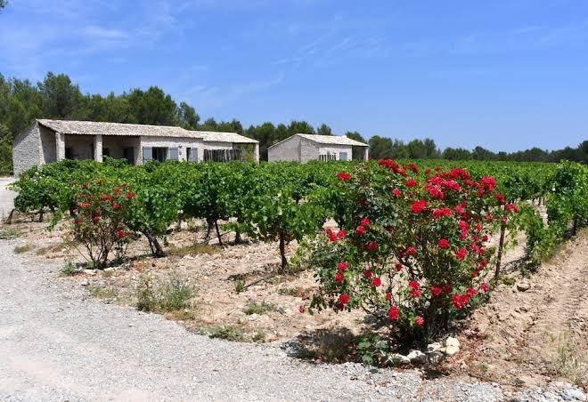 Haut lirou vins gites wine tours