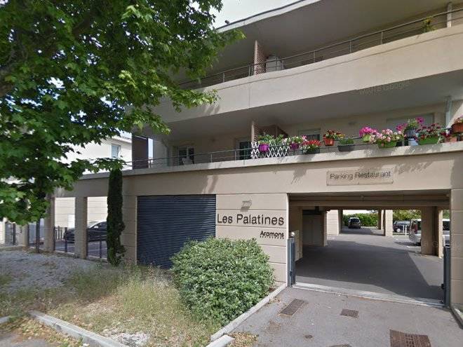 Les palatines