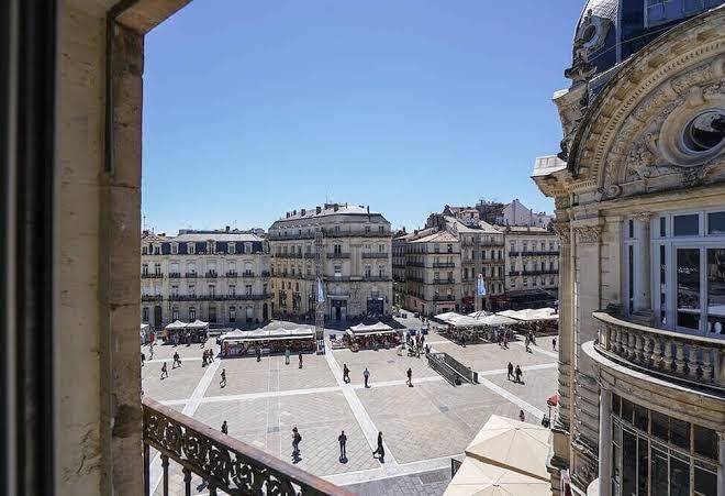 Nocnoc montpellier la comedie