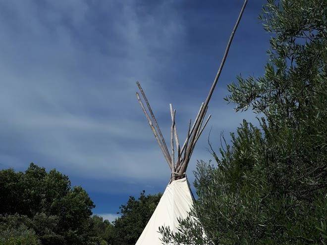 Tipis des oliviers
