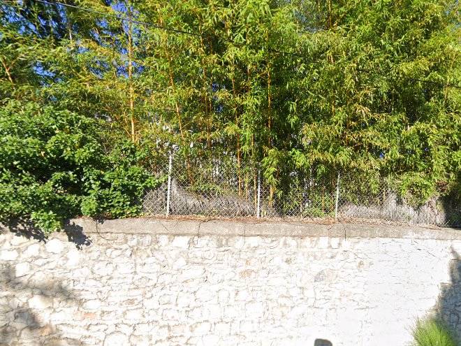 Une parenthese sous les pins a montpellier