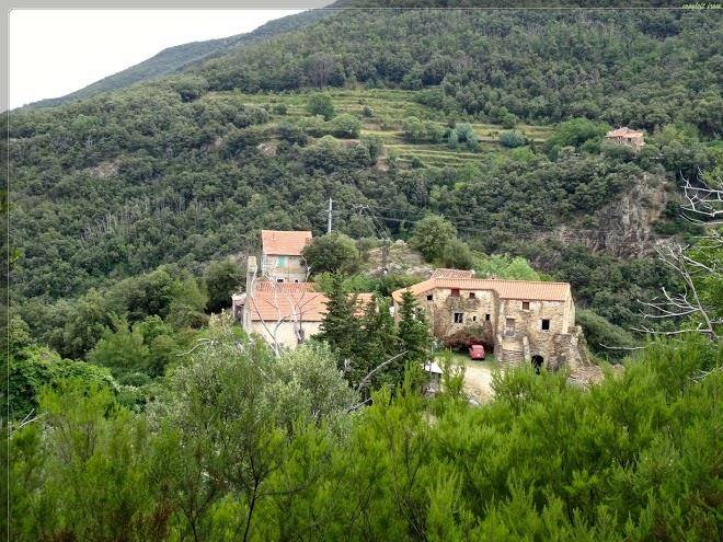 Ecogite du moulin de la palette