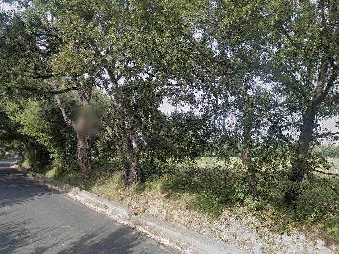 Les demeures de la massan