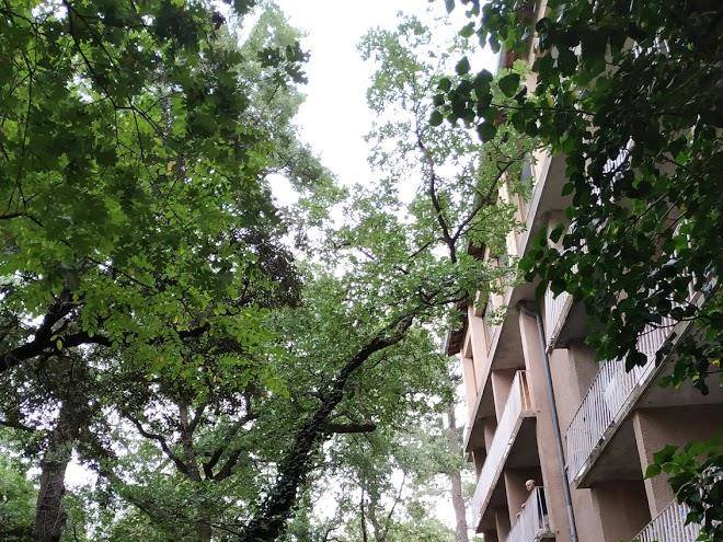 Residence le catalan