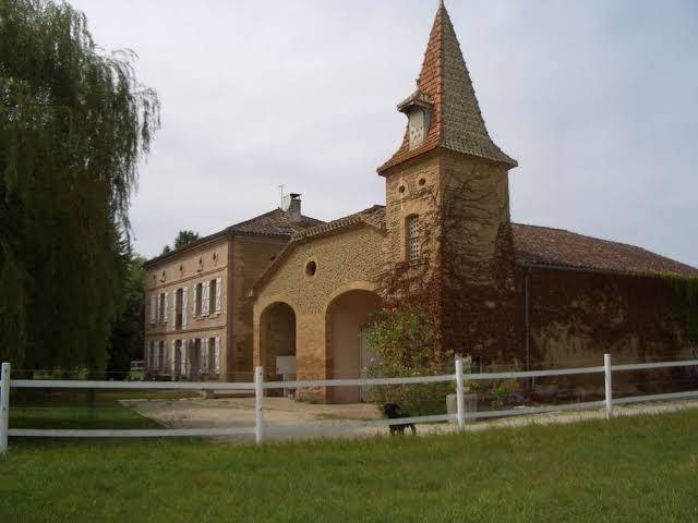 Le platane