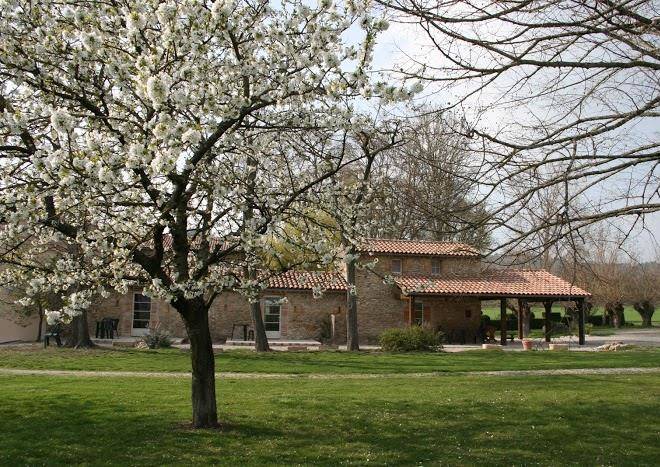 La Fontaine De Lautrec Image