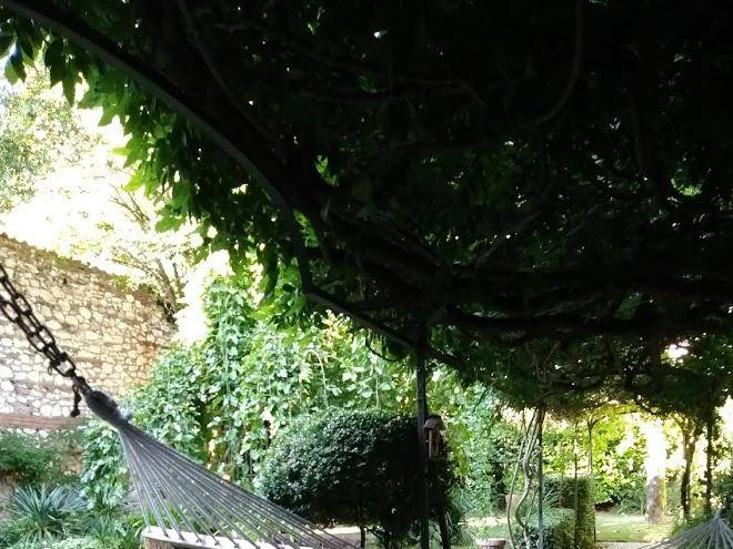 La maison chambre d'hotes albi