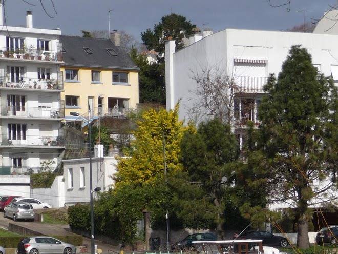 Chambre d'hotes nantes a la maison jaune