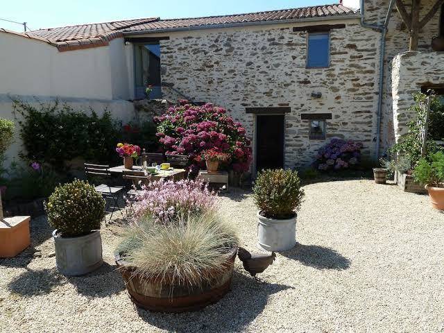 Fleur De Vigne Image