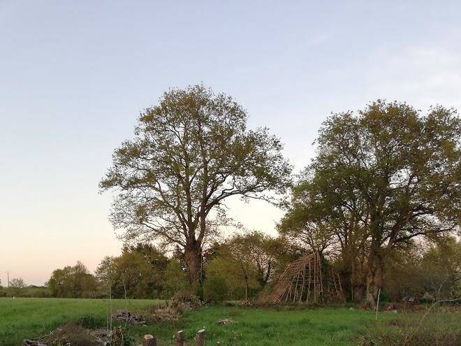 Le Gite Du Dolmen Image